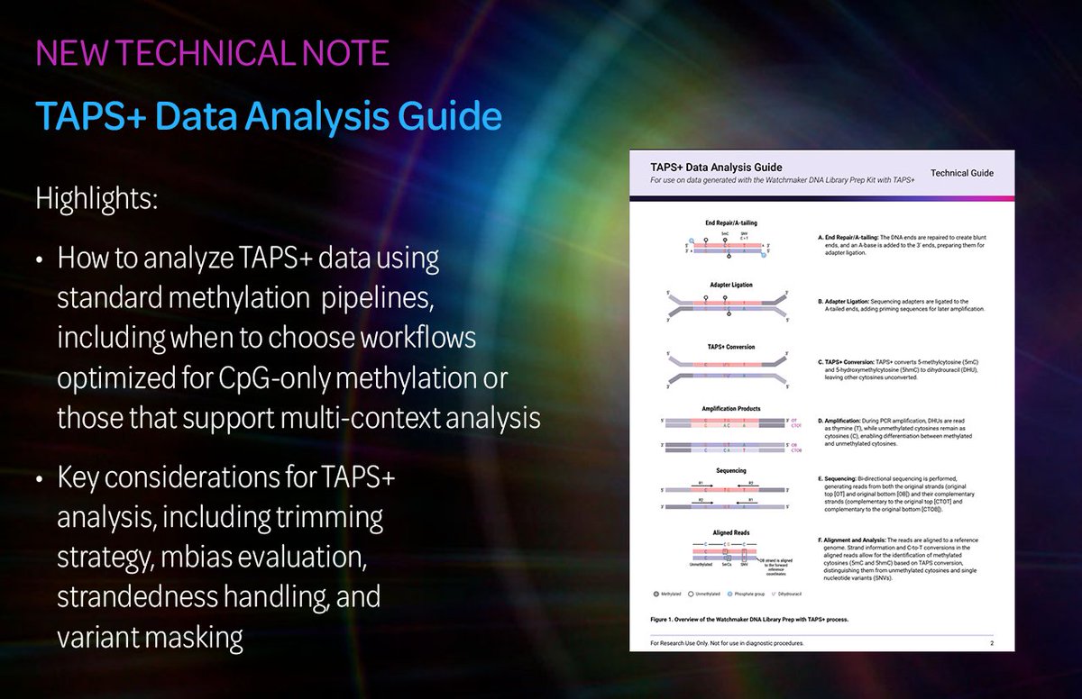WatchmakerGeno1's tweet photo. Working with TAPS+ data? Our new Data Analysis Guide covers everything: alignment, methylation calling, C→T handling, tool comparisons (methylseq, rastair, asTair), SNV/CNV best practices, &amp; DMR tips. Perfect for FFPE, cfDNA, &amp; tumor–normal profiling. #TAPS #Epigenomics #NGS https://t.co/NgxWDFLDwZ
