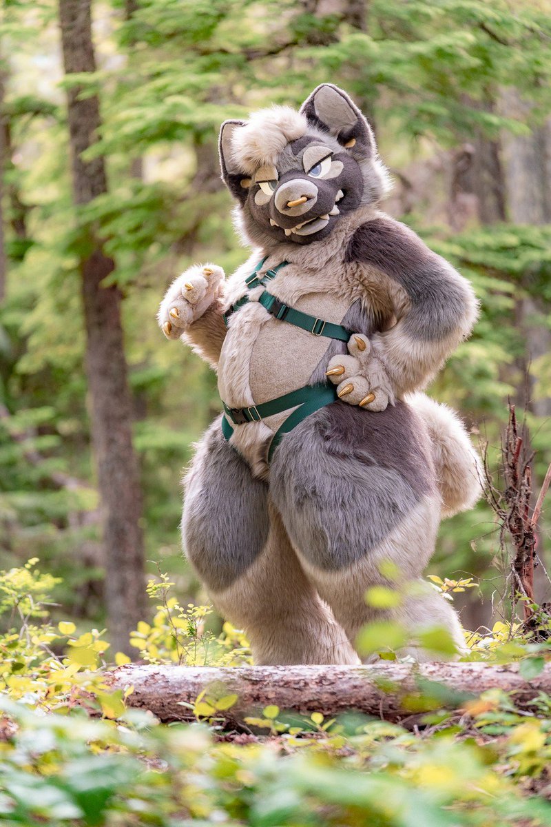 Does this make me look fat? 

(Happy #FursuitFriday, folks.)

📸: <a href="/sabletide/">stark 🌙</a>