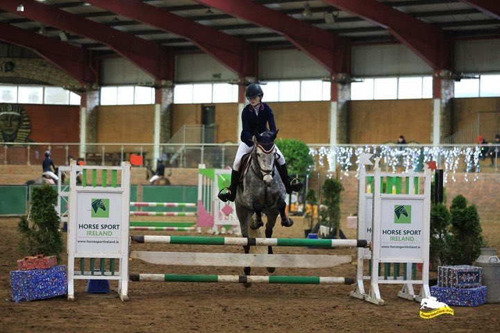 ✨Cavan Winter Horse Festival ✨
  My first proper show completed ✅
   And Bambams first proper show 
The journey up started rough but what a good week. BamBam was such a good baby and we both definitely learned a lot this week.