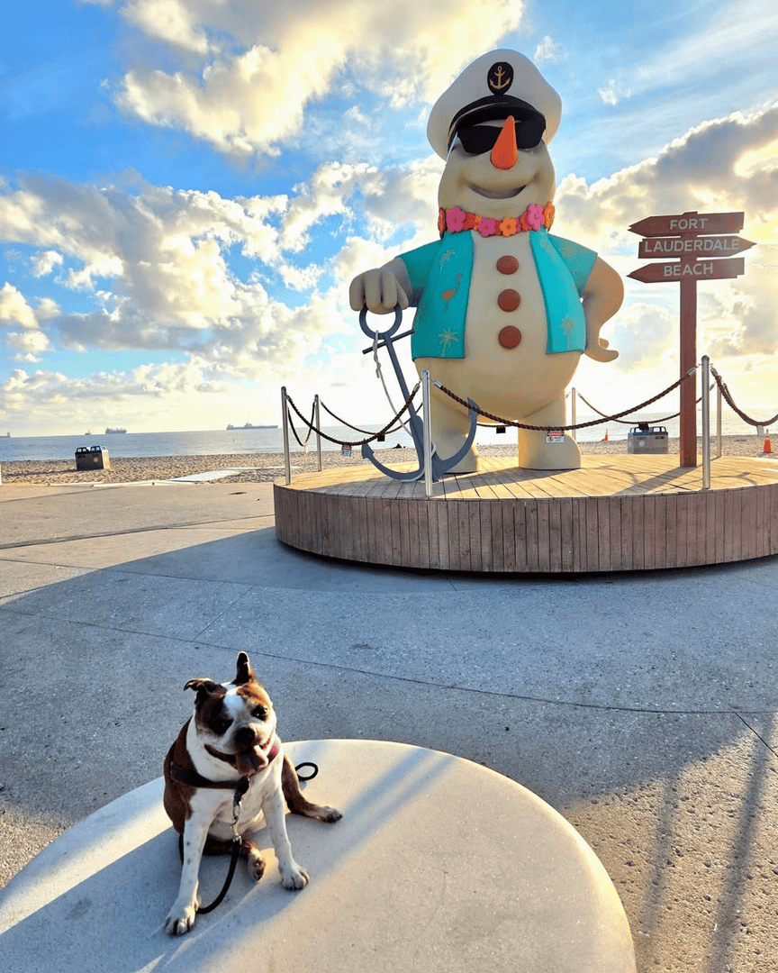 DowntownFTL tweet media