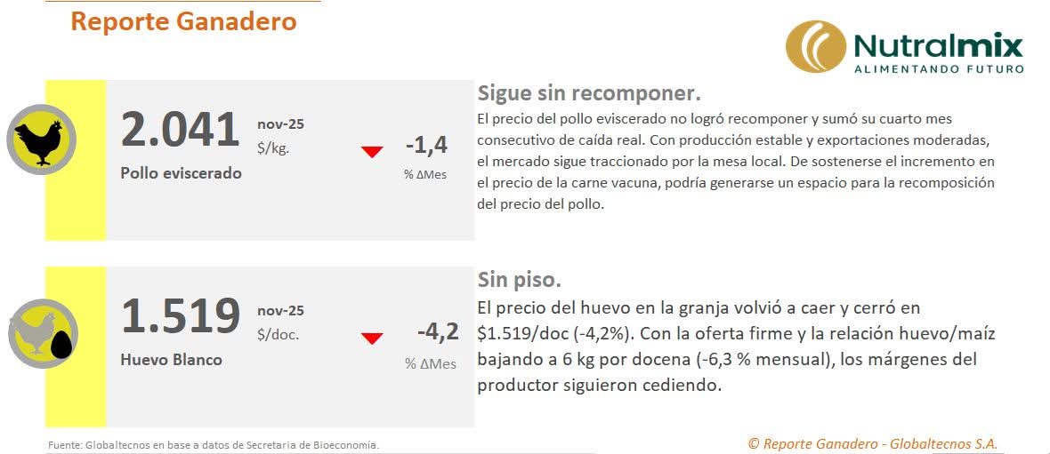 #ReporteGanadero ¿Qué pasó con la producción de #pollos y #huevos en el último mes? Uno a uno, cómo evolucionaron:
💰🐥 Precio del pollo
💰🥚 Precio del huevo
📊 Producción de pollo

👉 Pedí el informe completo a 𝐧𝐮𝐭𝐫𝐚𝐥𝐦𝐢𝐱@𝐧𝐮𝐭𝐫𝐚𝐥𝐦𝐢𝐱.𝐜𝐨𝐦.𝐚𝐫