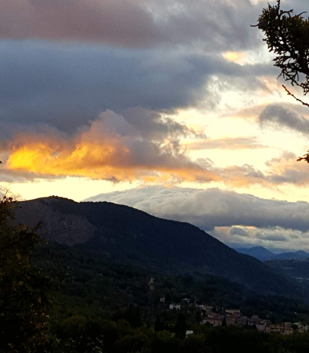 Maria Lea tweet media