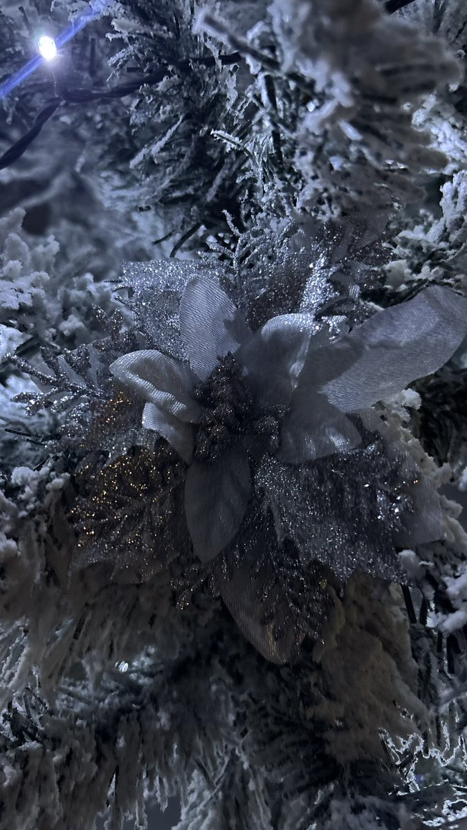 How_Suay's tweet image. My tree is going to be tewwwww cute!!! 
🎄🤭