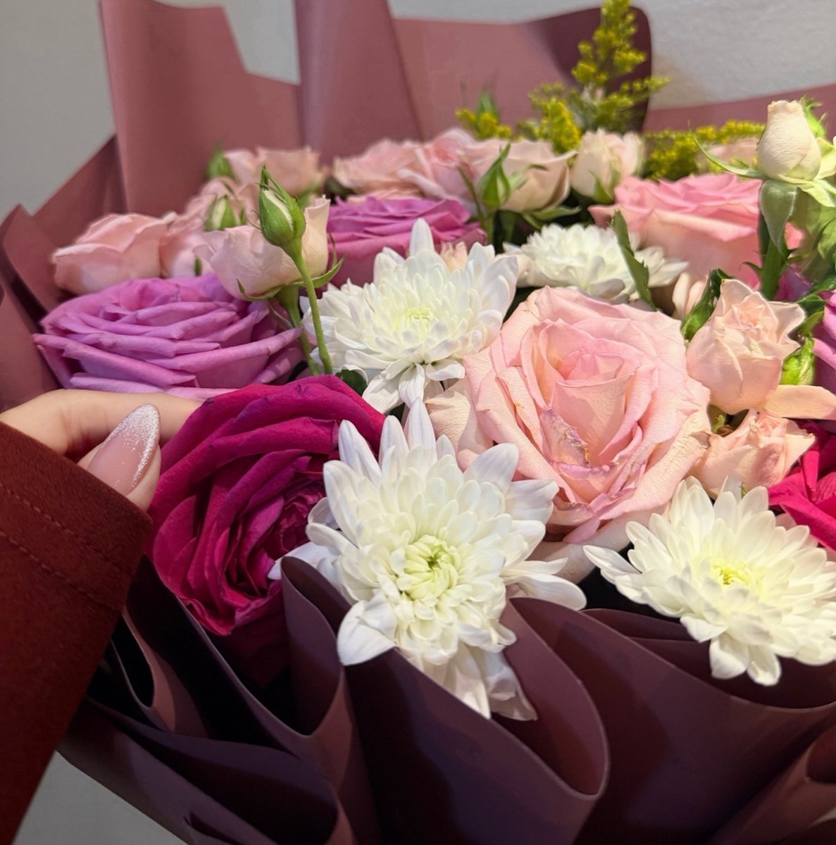 538ii's tweet image. « يحيا هشيم الورد من لمس يدها
م كنها الا ديمةٍ — تروي القاع »

—— نواف العتيبي