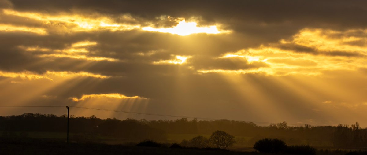 Ian Gordon tweet media