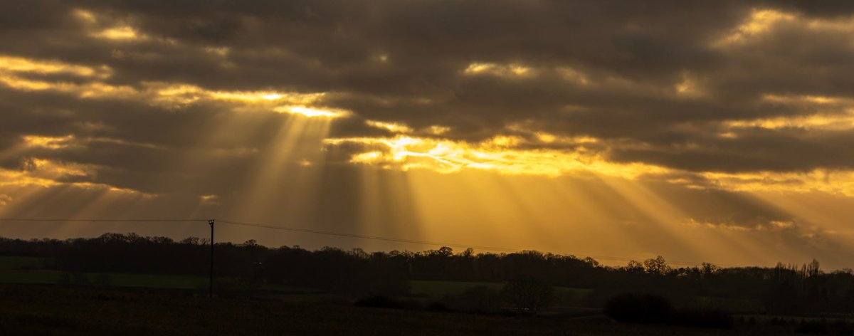 Ian Gordon tweet media