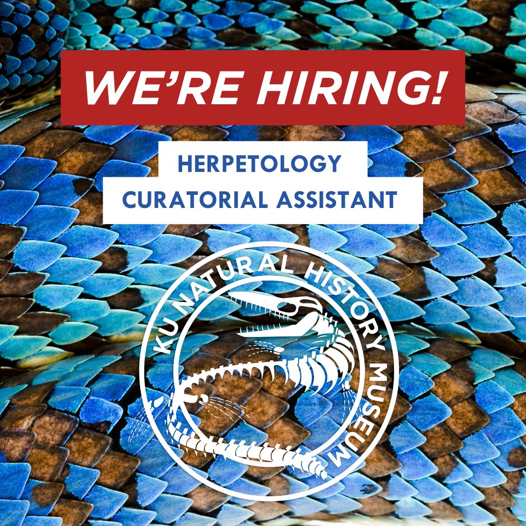 KU Natural History Museum tweet media