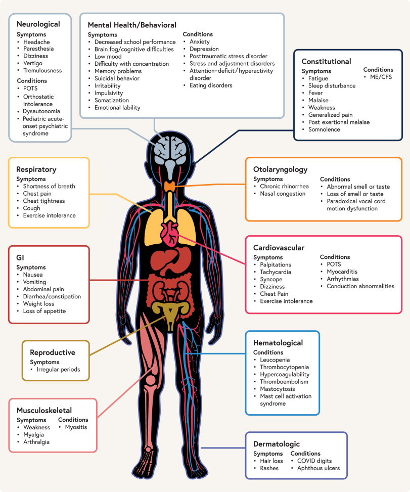 Malas noticias
💊LOS ANTIVIRALES, INHIBIDORES IL-6, ANTICUERPOS MONOCLONALES Y CORTICOIDES EN LA INFECCIÓN AGUDA SARS2 NO REDUCE LA CARGA POSTERIOR DE SÍNTOMAS LONG COVID
🧵1⃣Artículo de numerosos investigadores de múltiples centros italianos
infezmed.it/media/journal/…