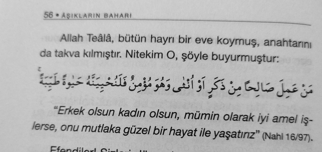 Mirhal_'s tweet image. 