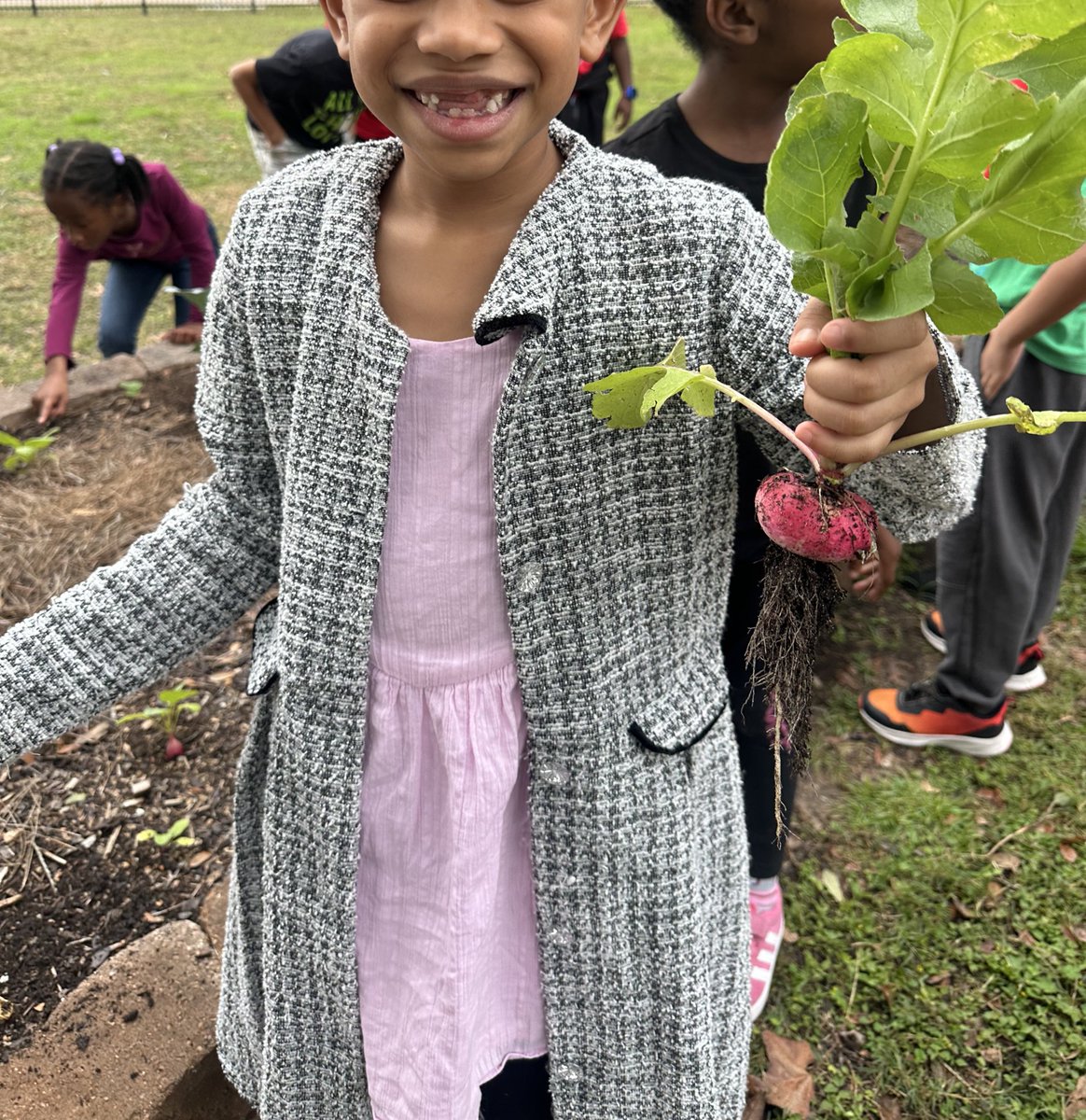 Ready to Grow Garden tweet media