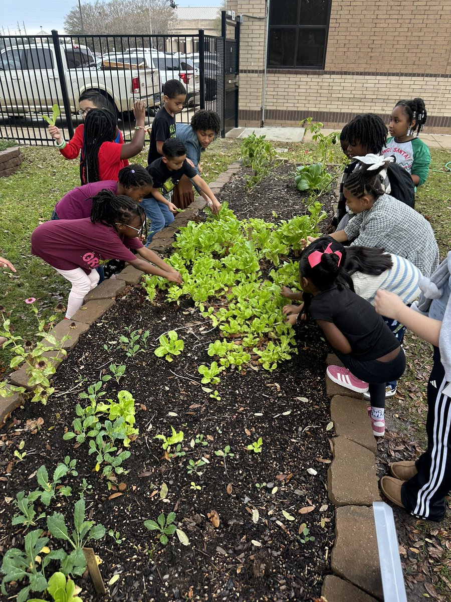 Ready to Grow Garden tweet media