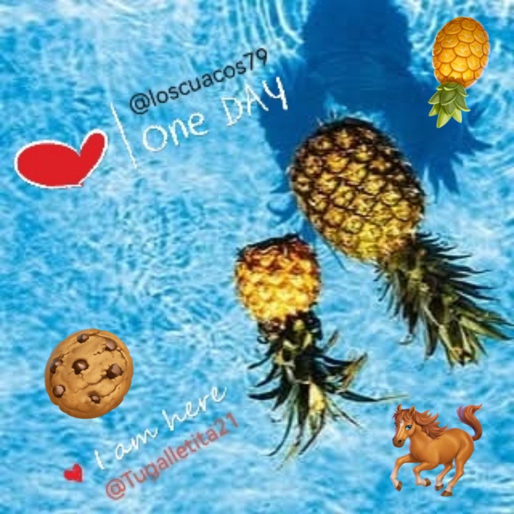 Andaremos por Chetumal el fin d semana a ver si conocemos a alguien si ay oportunidad 🍪🐴🥰😍🤩😘🌹🍍😈