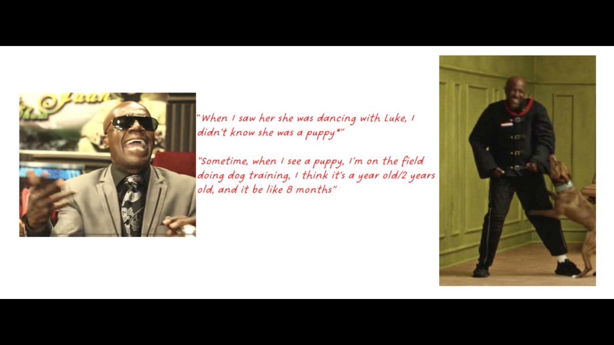 Decentfolk41's tweet photo. Is the dog trainer getting attacked by dogs in the Squabble Up video supposed to be a representation of Aaron Hall? A guy who used a dog training metaphor when talking about how he got with a 16 year old Gloria Velez?? I see it. #aaronhall #gloriavelez #squabbleup https://t.co/7HA6BPt8zm