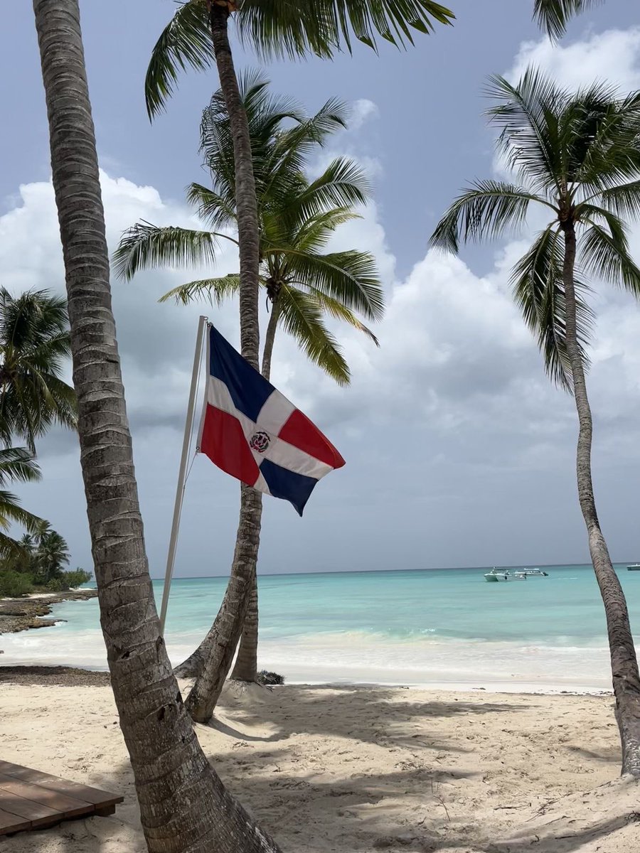 Pato Bonato tweet media