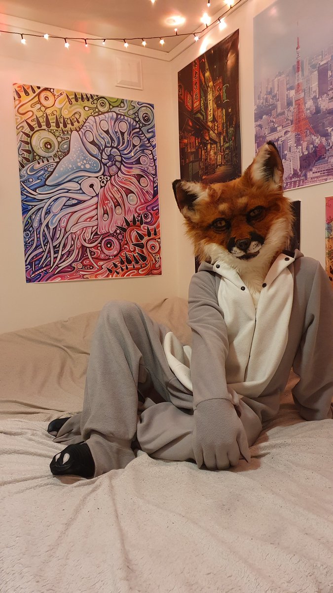 crowpudding's tweet image. Fox dressed up as a racoon for this #FursuitFriday