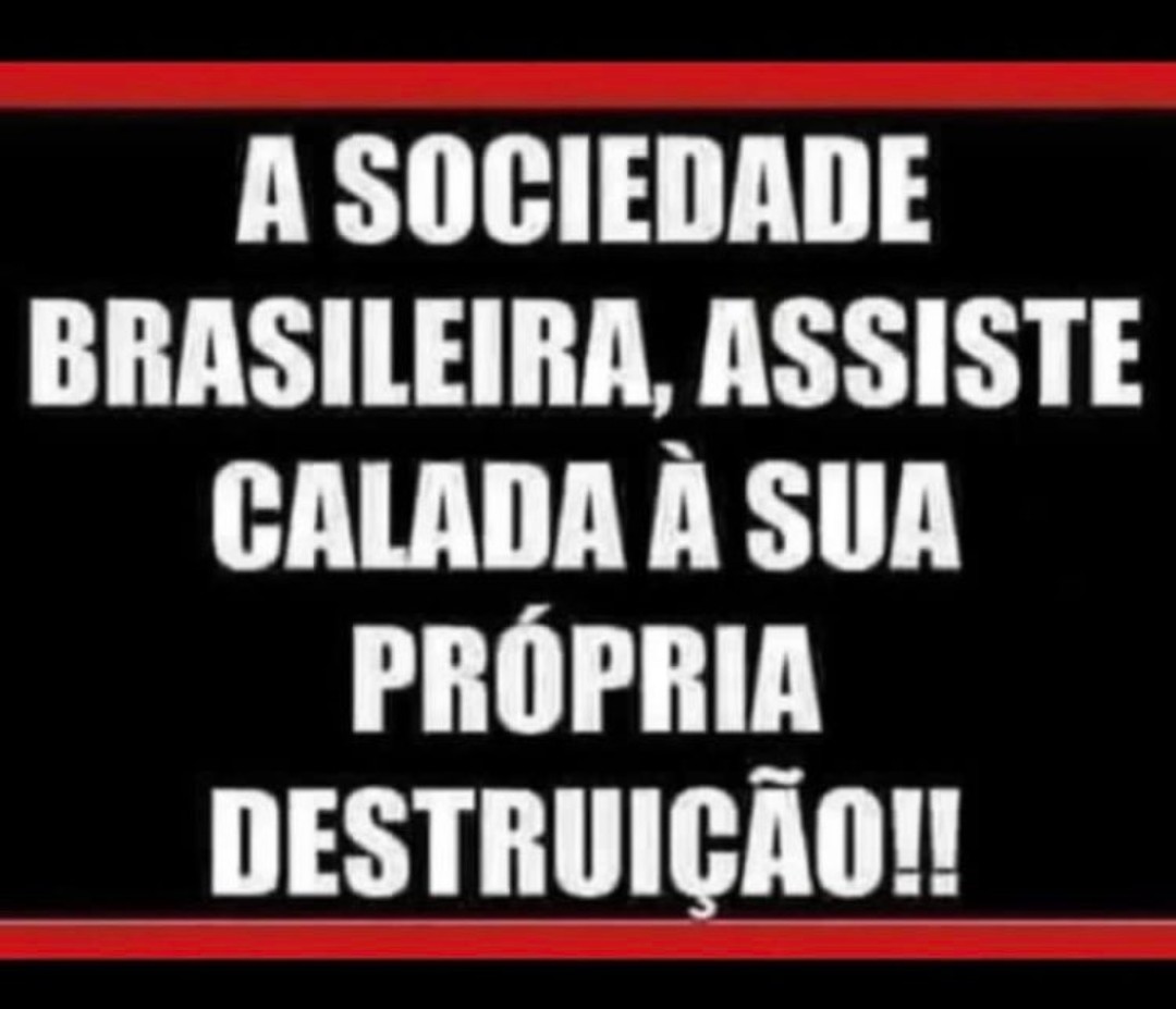 Sandra Bittencourt tweet media