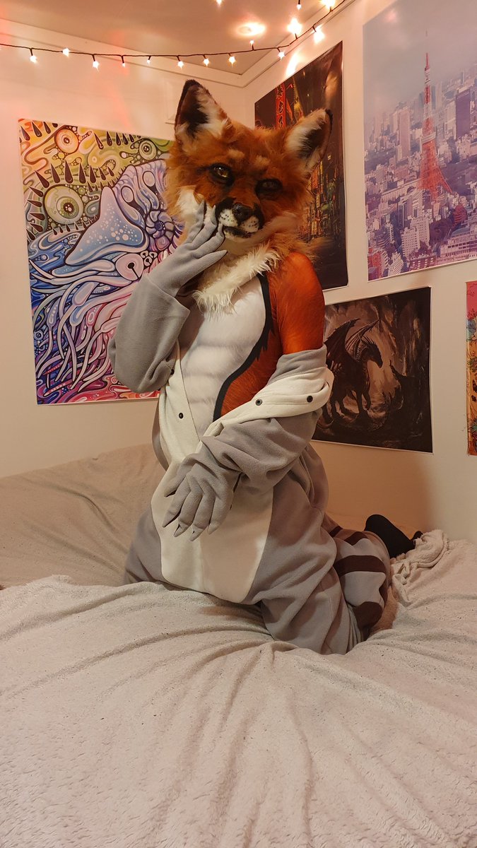 crowpudding's tweet image. Fox dressed up as a racoon for this #FursuitFriday