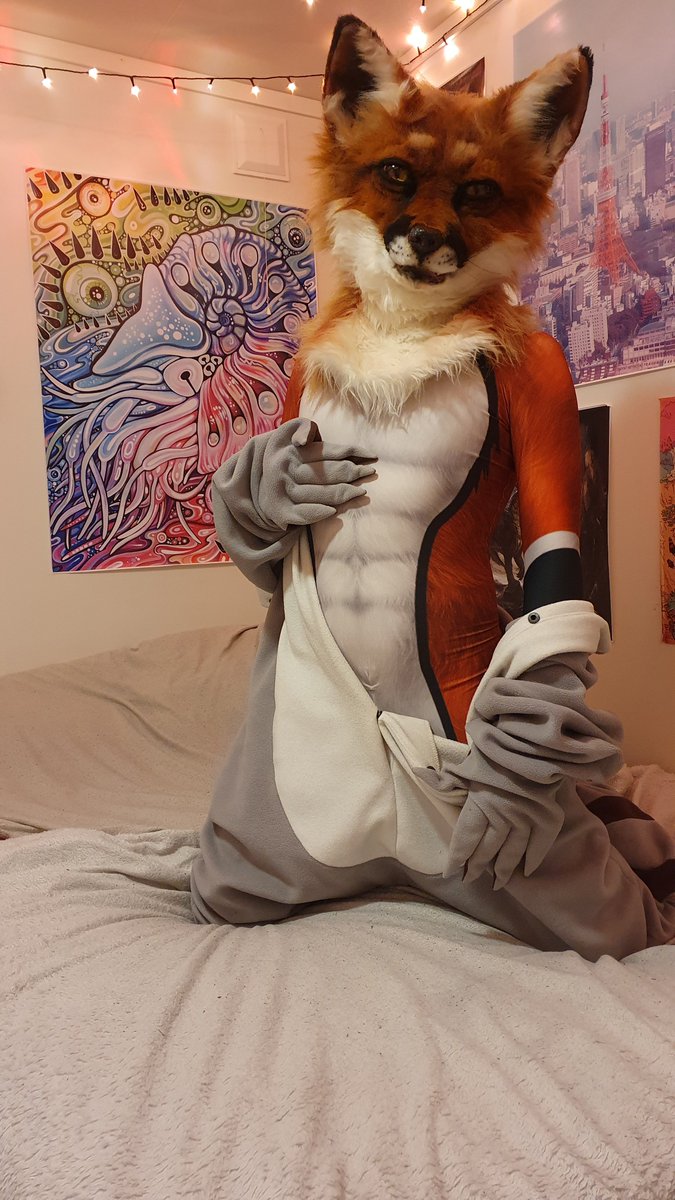 crowpudding's tweet image. Fox dressed up as a racoon for this #FursuitFriday
