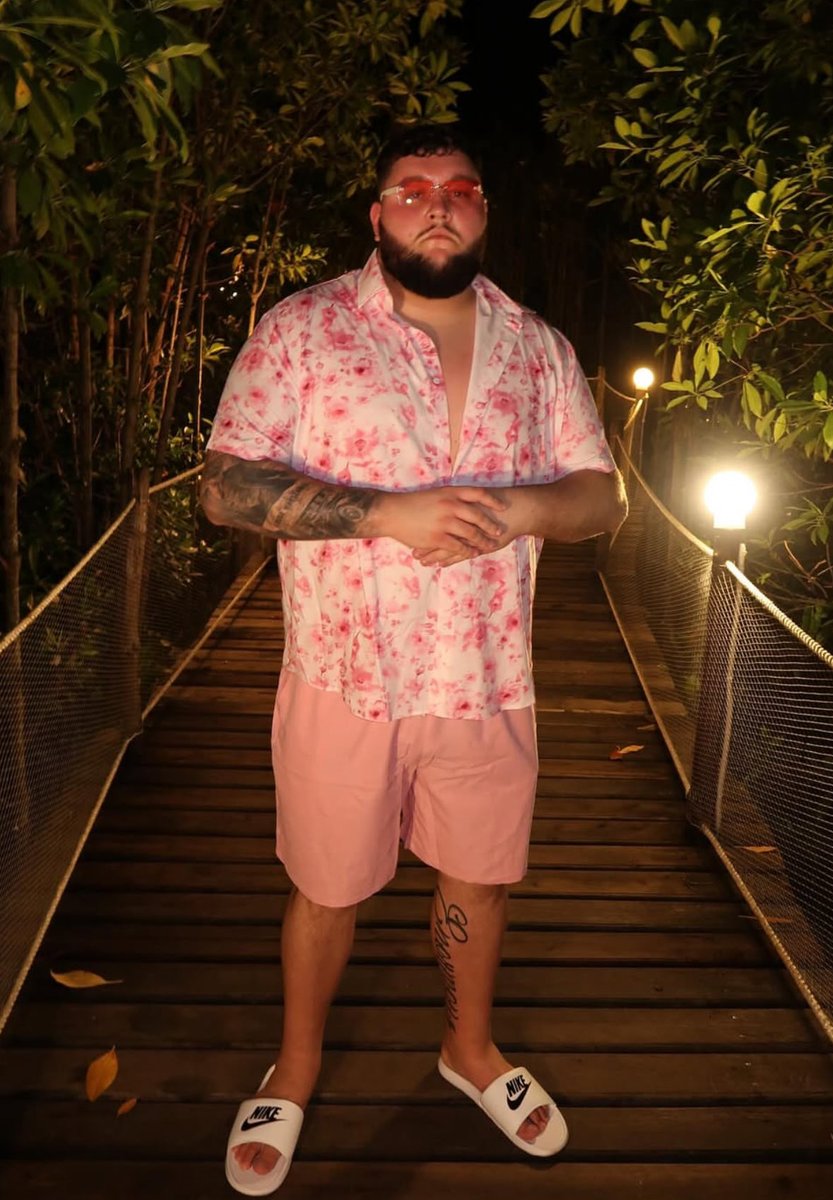 TurtleHype tweet media