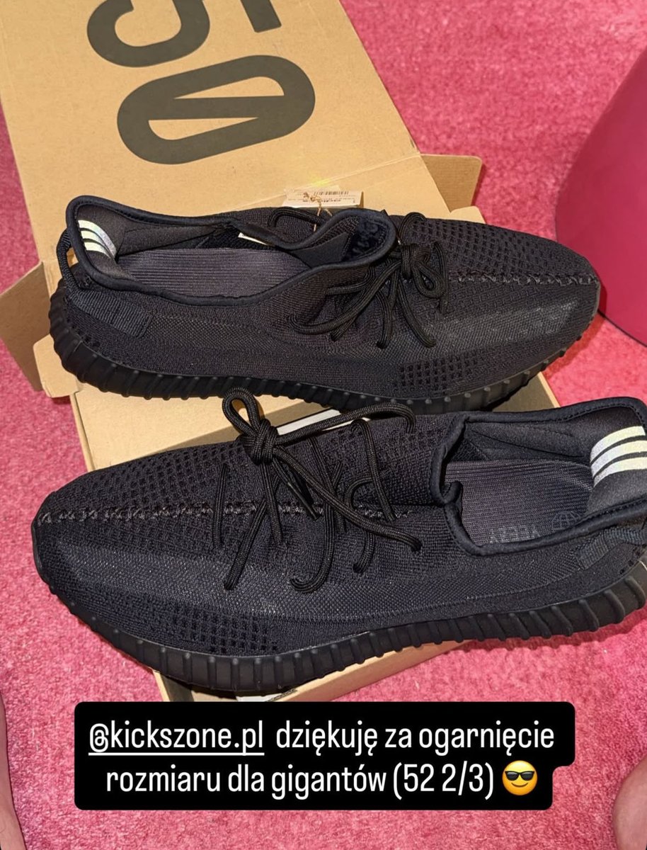 TurtleHype tweet media