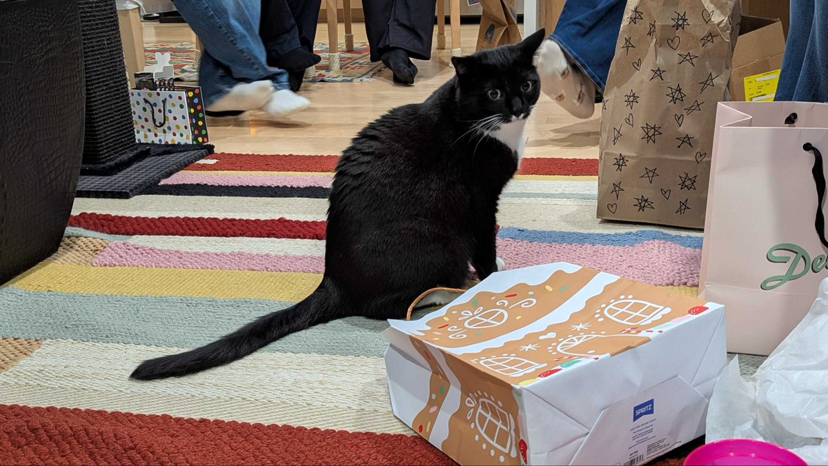 H.S. Shafaat tweet media