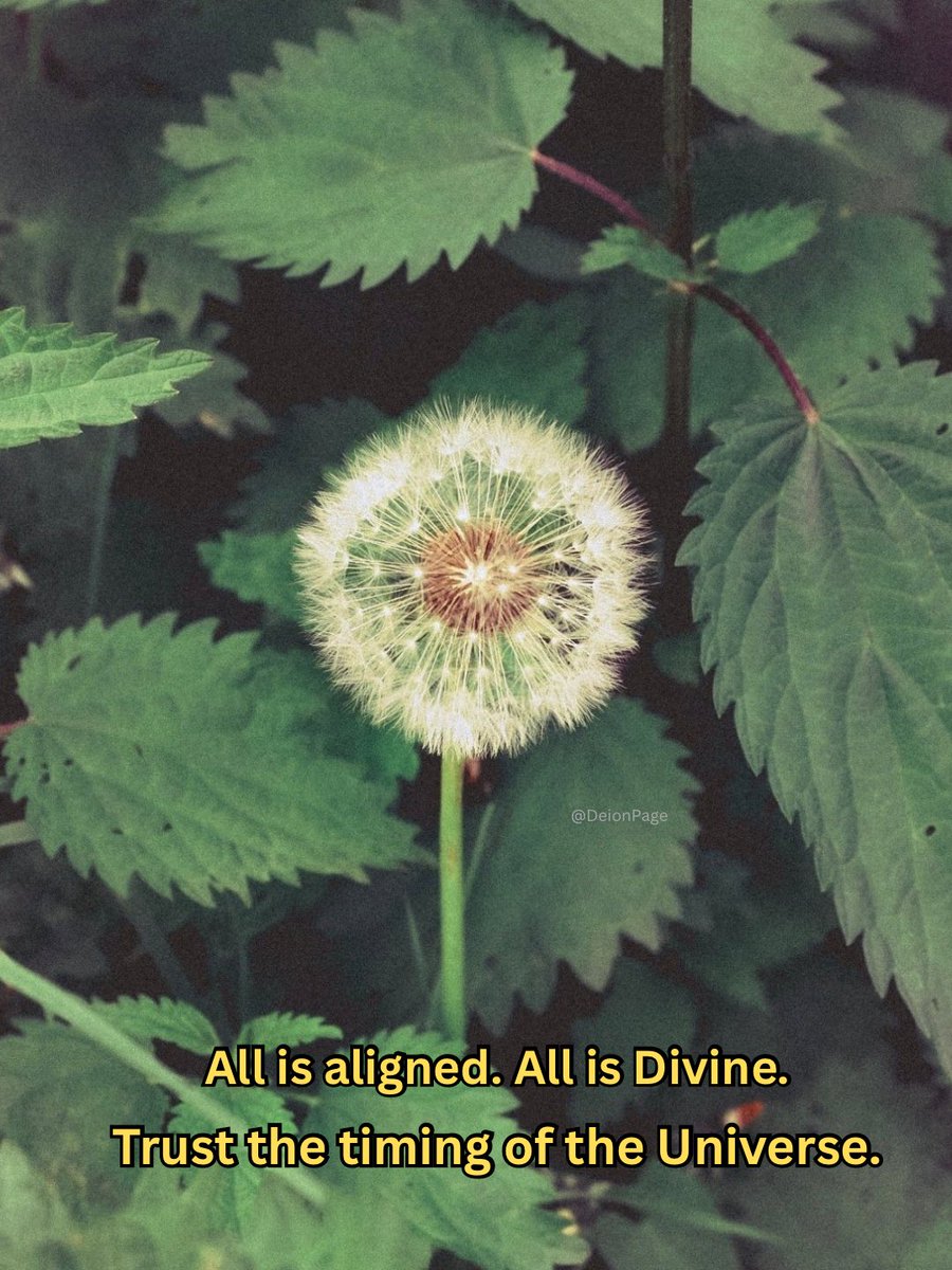 Deion 𓋹 tweet media