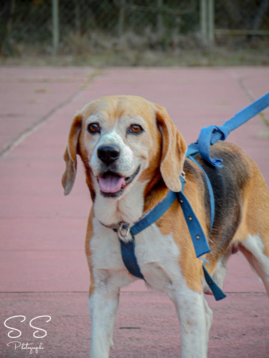 ekuart's tweet image. Hasta una próxima