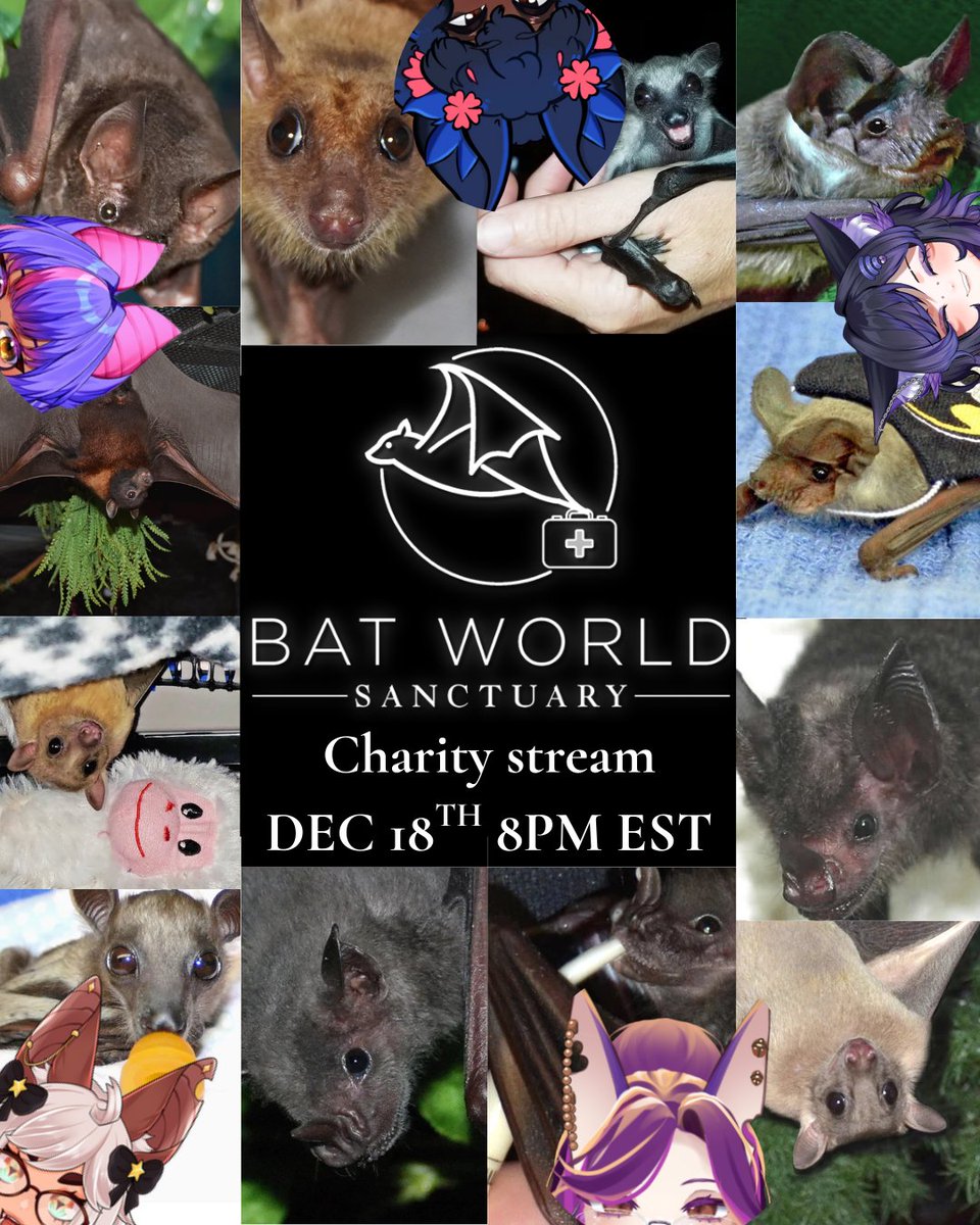 Lotus🦇🪷| Batty Overlord 🔞 tweet media