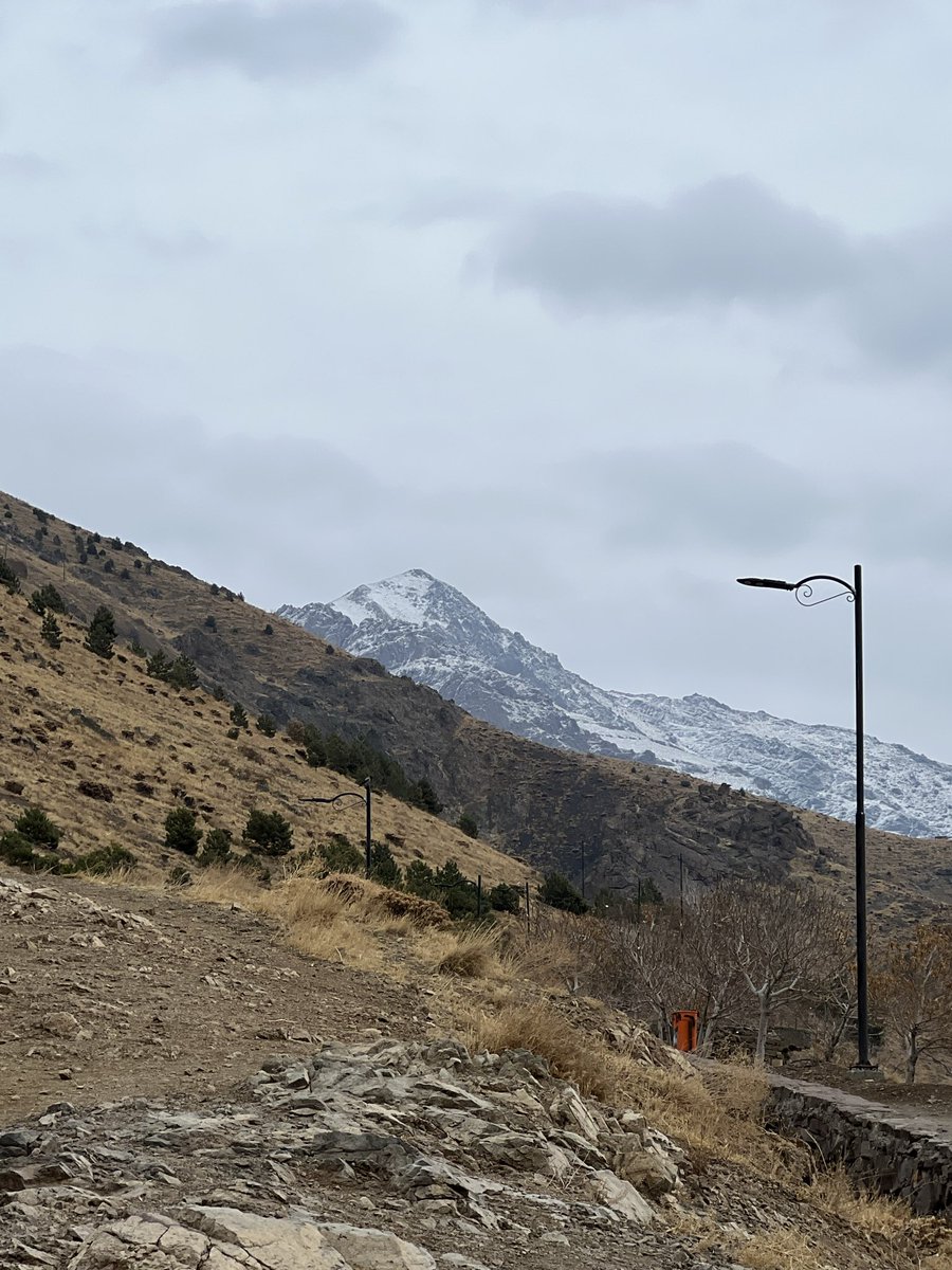 فقط كسانى كه زمان رفتن،
در را آهسته و بى سر و صدا مى بندند
باز نخواهند گشت!

غسان کنفانی