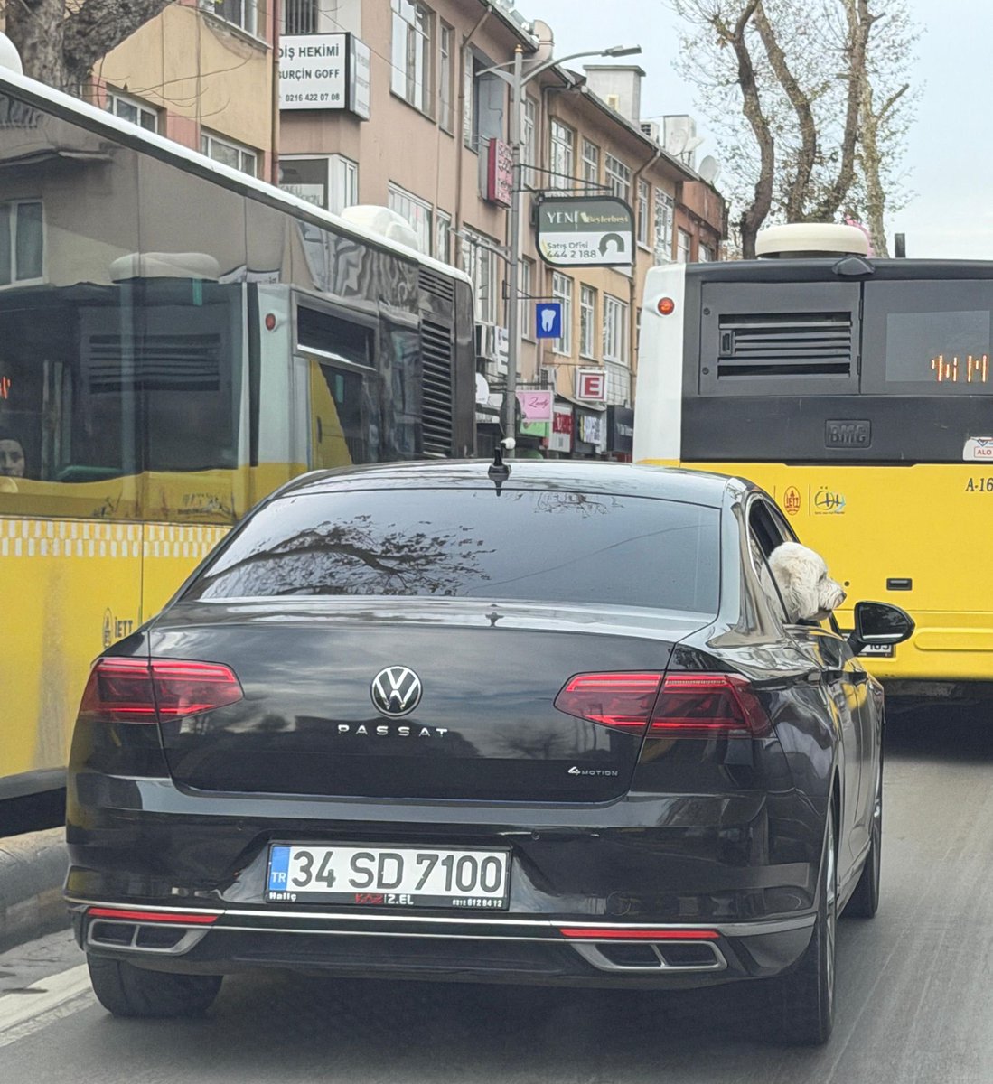 Solda 

34SD7100 plakalı araç AK Partili Belediye Başkanı Hilmi Türkmen tarafından makam aracı olarak kullanılıyor

Sağda

34SD7100 plakalı araç CHP’li Belediye Başkanı Sinem Dedetaş’ın köpeğini gezdirmek için kullanılıyor 

Dedetaş, makam aracını Mercedes olarak tercih etti