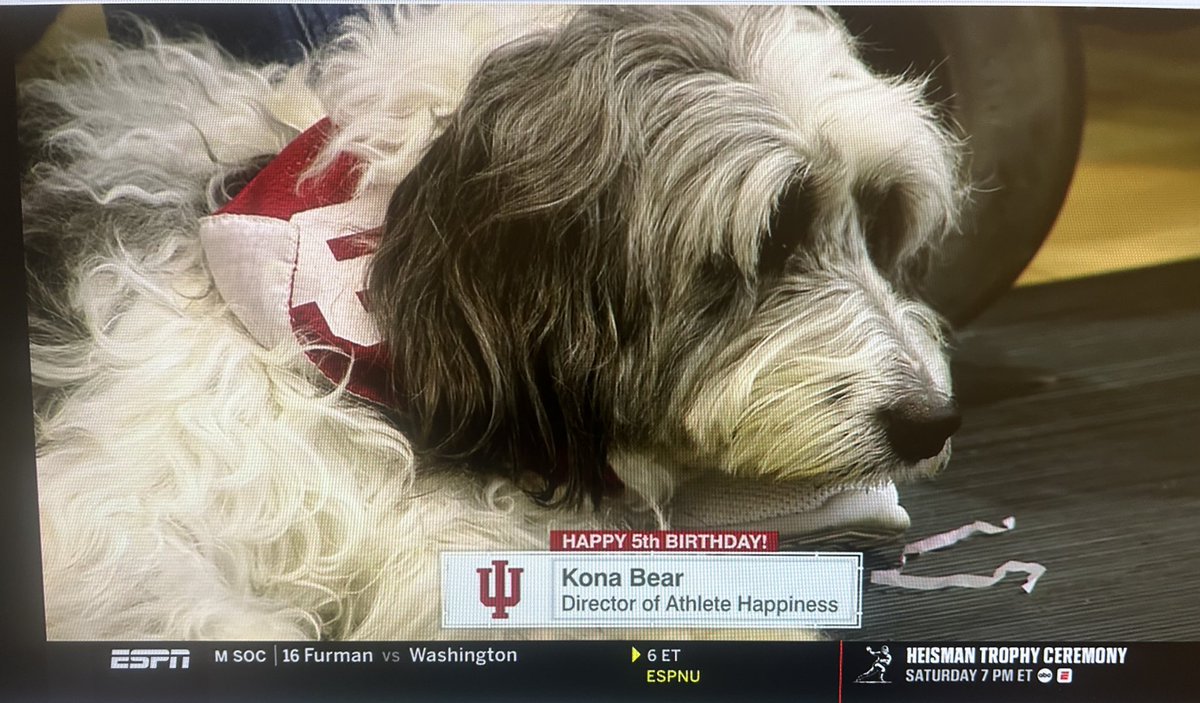 Richie Carter tweet media