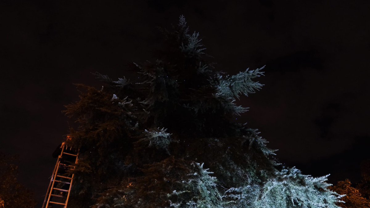 L'<a href="/avstantoni/">AV Sant Antoni Llefià</a> engalana un arbre natural a #Badalona Llefià🎄

Un acte comunitari i simbòlic que s'està celebrant aquesta tarda al parc del Ventall (Av. Pius XII)