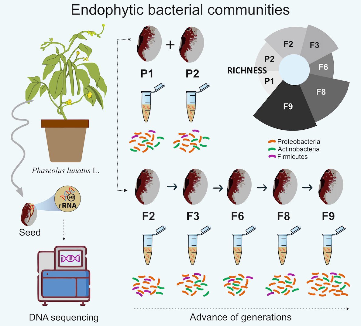 Lucas William Mendes tweet media