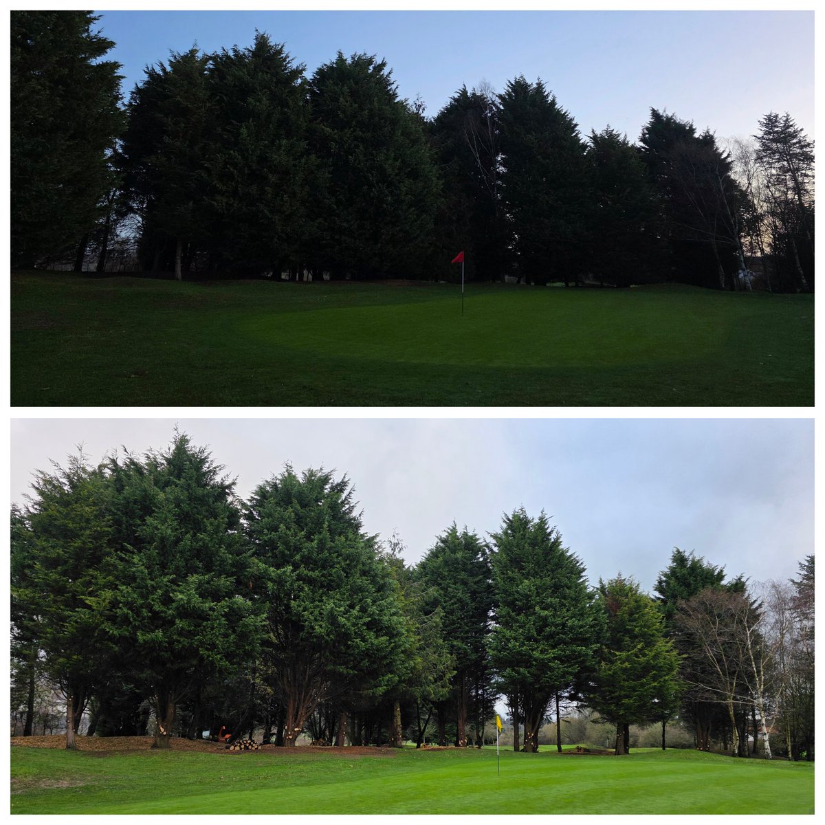 BromsgroveGK's tweet photo. This week saw us tackle our next winter project. We have now thinned out the tree line between the 5th and 7th greens. This has been done to improve airflow and light to the playing surfaces which will help to improve turf health #Greenkeeping #treeworks #Golf https://t.co/tJnpyVLNO5