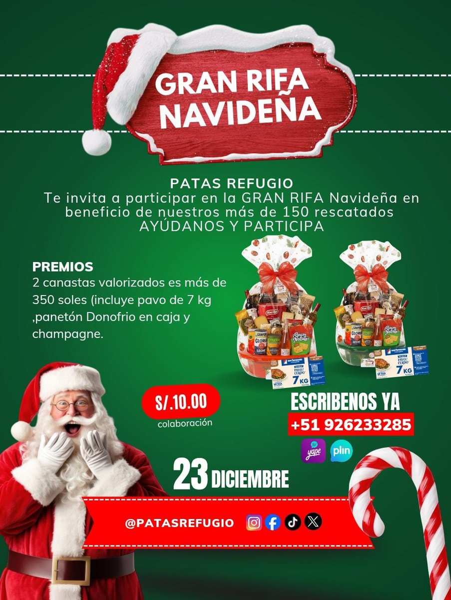 PatasRefugio's tweet image. AYÚDANOS Y PARTICIPA DE NUESTRA RIFA NAVIDEÑA EN BENEFICIO DE NUESTROS MÁS DE 150 LOMITOS 🐶🐱
Con lo recaudado se comprará alimento/medicinas para nuestros pequeños y saldarenos nuestra deuda con los proveedores 
Yape/Plin 926 233 285 
PayPal PATASREFUGIO@GMAIL.COM 
Giovanna p.