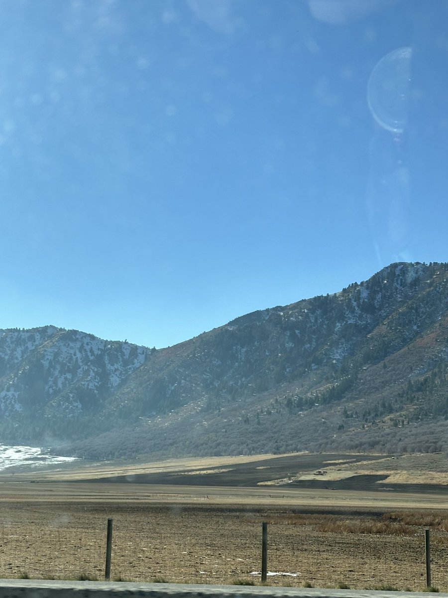 Hayes | Hollistic Health 🇺🇸 🇨🇭 🇮🇪 tweet media