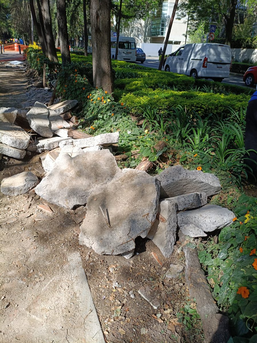 Vitarbol tweet media