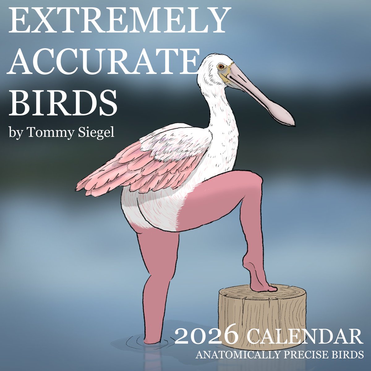 TommySiegel's tweet image. part of a much longer project I’m working on with the brilliant @will_bits and Stephanie Simpson. but i had to share a little teaser in honor of the 2026 Extremely Accurate Birds calendar… the pre-Xmas delivery deadline is tomorrow! 

tommysiegel.net