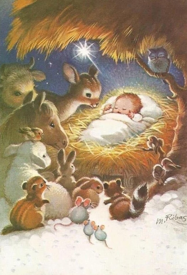 I’ve been obsessed with these pictures of animals surrounding Baby Jesus🥺🤍