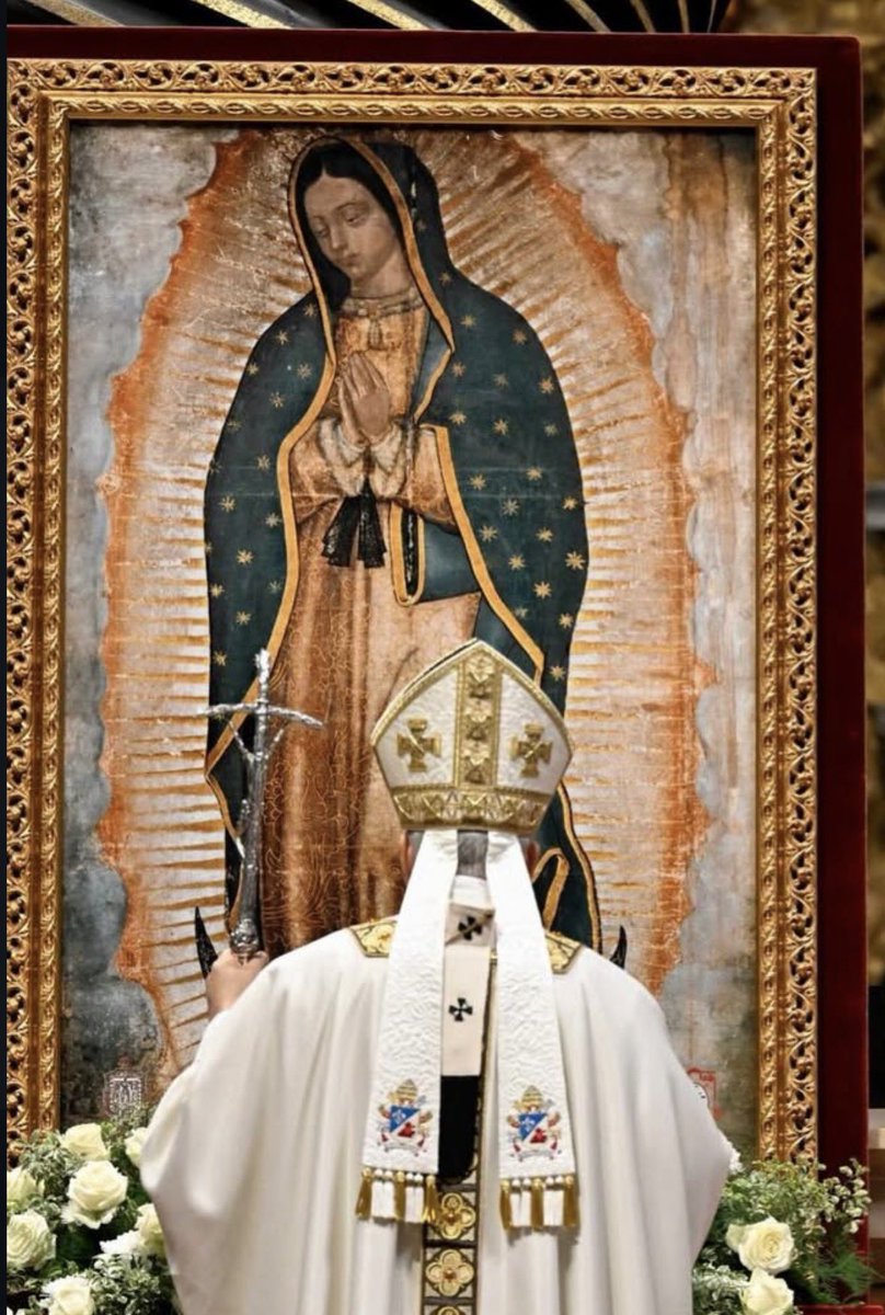 “En medio de conflictos que no cesan, injusticias y dolores que buscan alivio, la #VirgendeGuadalupe proclama el núcleo de su mensaje:
‘¿Acaso no estoy yo aquí que soy tu madre?’.” .- <a href="/Pontifex_es/">Papa León XIV</a>