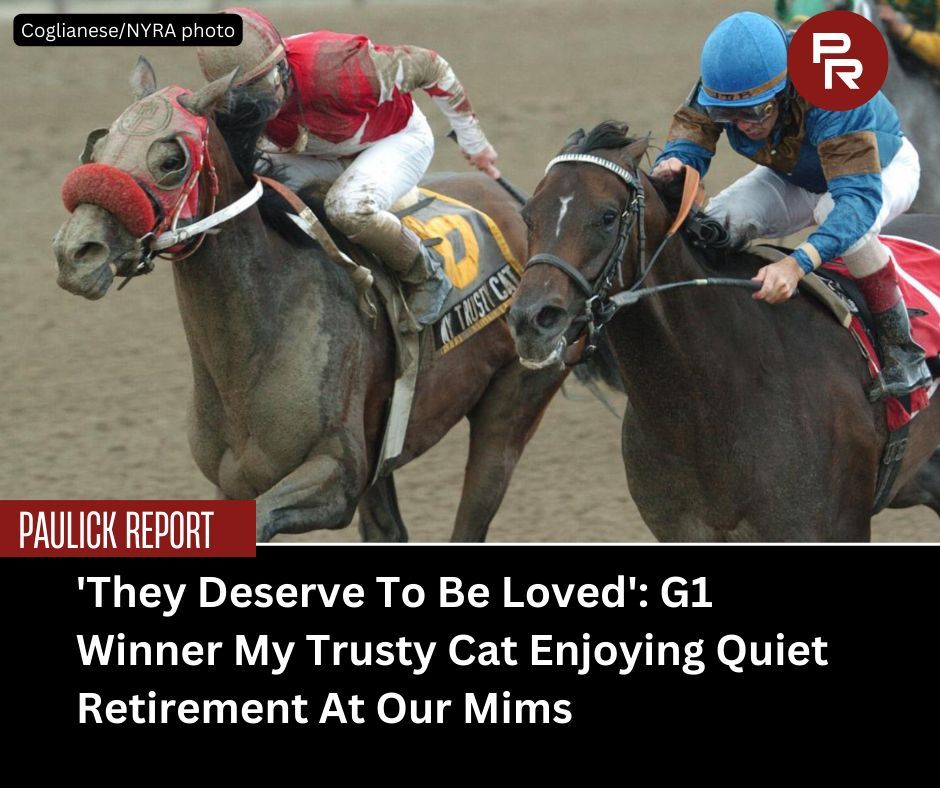 Paulick Report tweet media