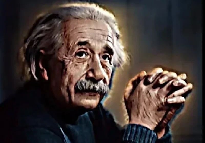 #BLACKSOULS 🐥=🎓