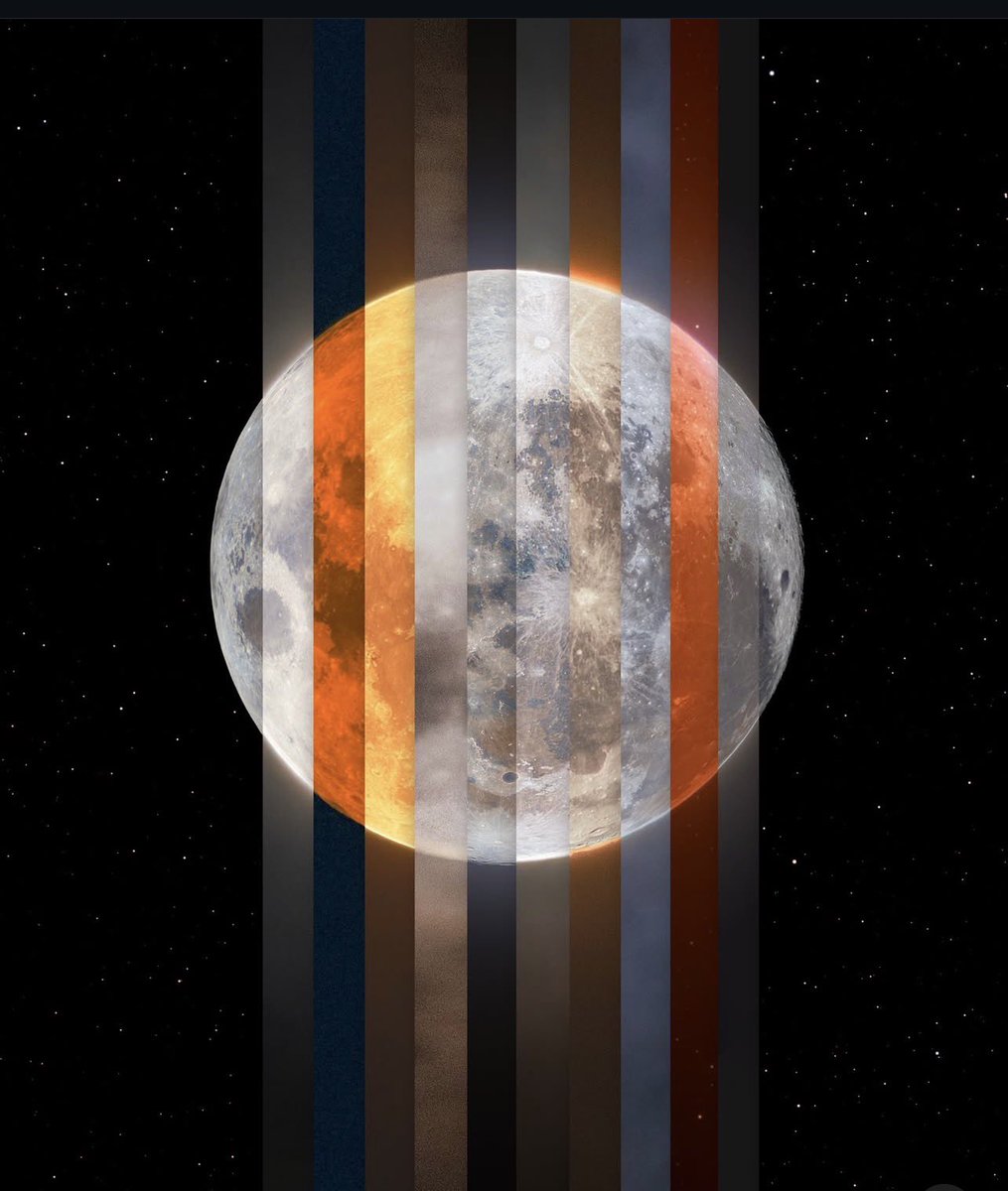 ⠀⠀ ❝Lunas llenas del 2025 
         en una sola imagen❞.