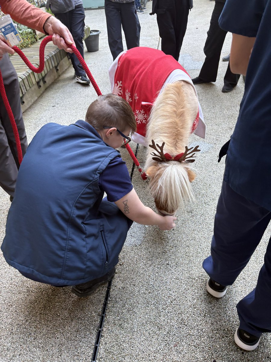 Aeysha Harley tweet media