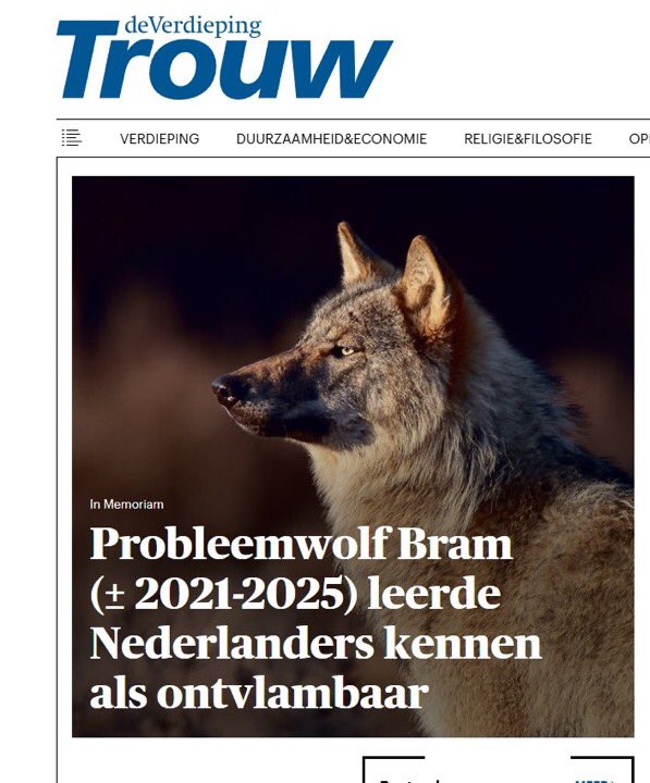 NielsAhob2's tweet photo. De staat van Nederland samengevat in één beeld…
#WolfBram @vandaaginside #vandaaginside #Bram https://t.co/jzTTgYN6By