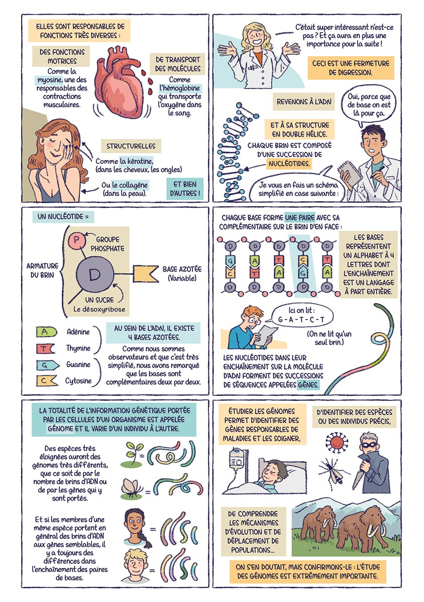 MorganeVelten's tweet photo. La nouvelle BD collective de L'Épicerie Séquentielle est sortie et  s'appelle Rue des Sciences. J'y ai réalisé 12 pages de BD, décrivant la  manière dont on extrait l'ADN d'une cellule, avec Nathalie Vesselier ! 🧬🔬🧪 En voici les 12 premières cases, c'est à dire l'introduction. https://t.co/nGkwW9gsYz