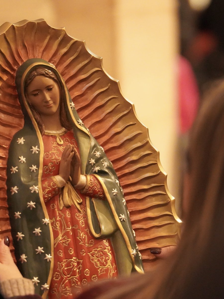 Cathédrale Notre-Dame de Paris tweet media