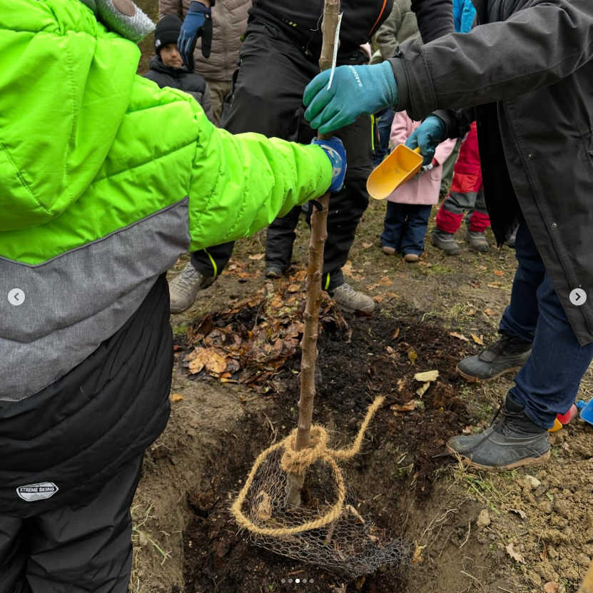 Nacherntephysi1's tweet photo. A touching moment: Dr. @Friedrich Weller, former KOB team member &amp; Apfelwiesen initiator, joined our tree planting in Ravensburg. Thanks to his vision, nature &amp; community grow together! 🌳🍎 #TreesOfHope #NatureExperience #AppleTreePlanting https://t.co/FU2Yqwc3BV