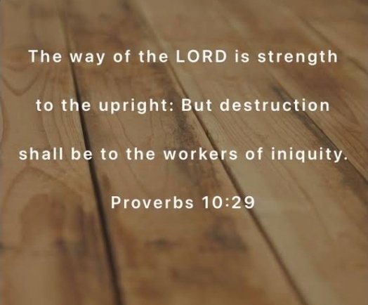 raymond seligman tweet media