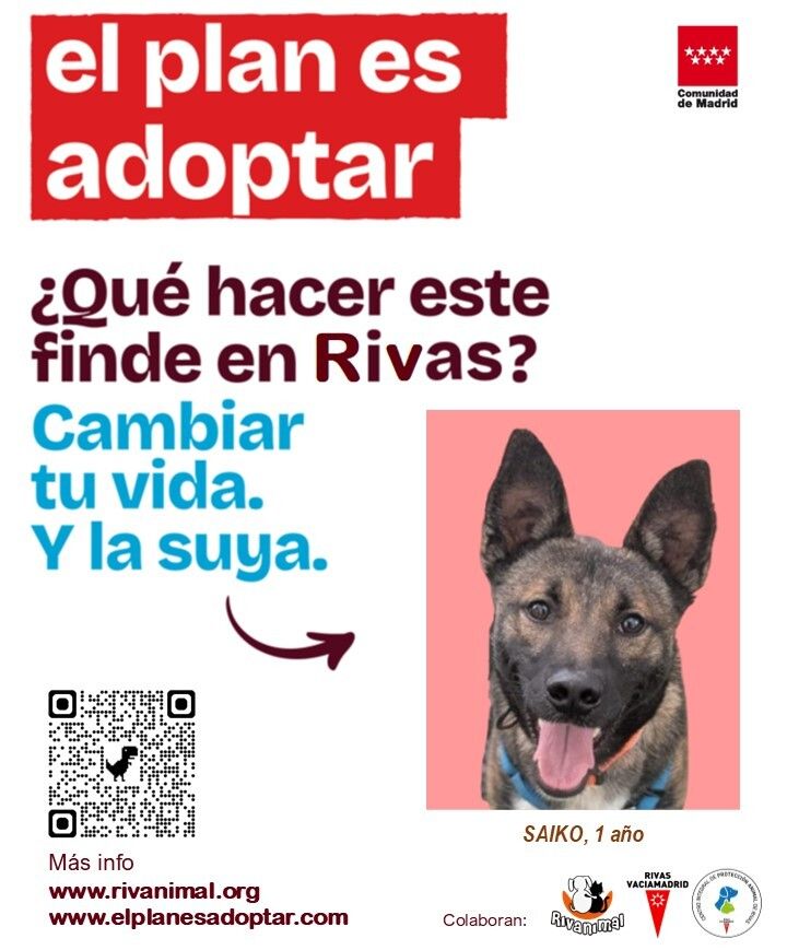 Ayuntamiento de Rivas Vaciamadrid tweet media